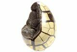 Septarian Dragon Egg Geode - Black Crystals #267341-2